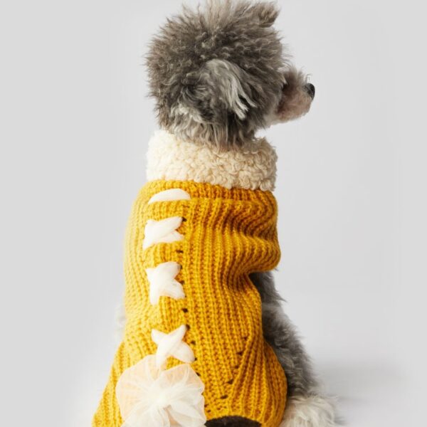 Warm autumn and winter bowknot dog cat clothes