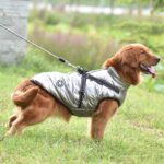 New Pet Reflective Cotton-padded Coat - Image 6