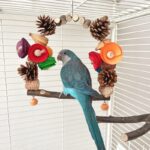 Parrot Swing Pine Nut Grinding Mouth Grinding Claw Log Bird Stand Rod Color Decoration - Image 10