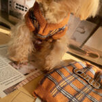 Vintage Plaid Pet Sweater Cat Clothes - Image 4