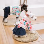 Winter dog clothes - Image 2