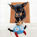 Music bouncing ball - Image 3