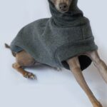 Italy's Small Lingti Whitby Bellington Clothes Rocking Fleece Dog Thickening Warm - Image 5