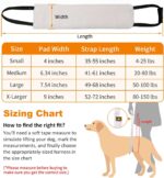 Portable Dog Sling For Hind Legs And Buttocks To Help Lift The Back For Canine Assisted Old Cruciate Ligament Rehabilitation - Image 2