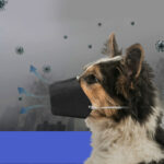Go out pet mouth cover - Image 2