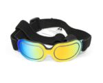 Pet supplies colorful dog glasses sunglasses Amazon cat sunglasses - Image 7