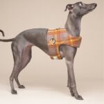 Dog Harness Small Dog Vest Type Leash - Image 3