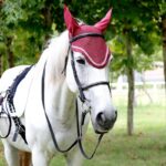 Hose Reins Cowhide Hose Equestrian Supplies - Image 3