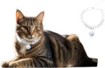 Gold Cat Chain Collar With Bell Lightweight Metal Necklace For Long Lasting Wear, Adjustable Jewelry For Cats And Dogs - Image 2