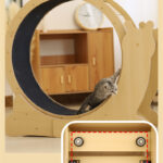 Mute Turntable Of Cat Treadmill Bodybuilding - Image 4