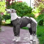Adjustable Dog Raincoat All-inclusive Medium Large Dog Adhesive Four-leg Hooded Poncho - Image 8