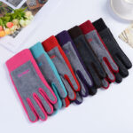 Autumn And Winter Warm Polar Fleece Gloves Riding Thick Fashion - Image 2
