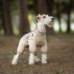 Autumn And Winter Warm All-inclusive Traction Four-leg Cotton-padded Jacket - Image 6