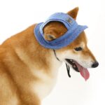Pet Hat With Ear Holes For Medium Small Dogs Adjustable Summer Pets Dog Outdoor Sun Cap Cat Puppy Denim Color Canvas Visor Caps - Image 5