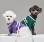 Pet Leash Macaron Ins Wind - Image 5