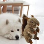 Squeaky Dog Toy Pet Toy Dog Biting Toy Dog Squirrel Plush Toy Interactive Chewing Toy For Small Large Dogs Aggressive Chewers - Image 5
