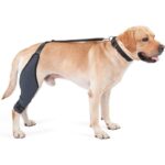 Tear Protection Rehabilitation Training Belt - Image 4