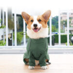 Dog Clothing With Traction Hole Reflective - Image 2