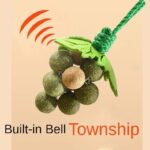 Creative New Catnip Toys, Peppermint Grape Skewers, Cat Sticks, Teething And Bite Resistant Gall Fruit Cat Toys - Image 3