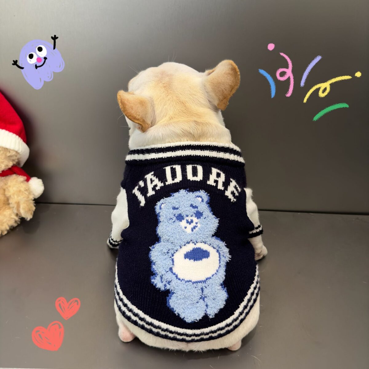 Cat Fighting Schnauzer Kitten Rainbow Bear Pet Sweater - Image 1