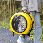 Pet Trolley Bag Transparent Reinforced Portable PC Cat Bag Dog Out - Image 2