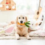 Carrot Dog Chew Toys Durable Rubber Squeaky Toy Shaped Dog Toys For Dogs Boredom Chewers Toothbrush Toy Supplies - Image 6