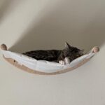Pet Solid Wood Cat Wall Hanging Scratching Post Climbing Frame Bed - Image 4