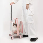 Fashion Creative Pet Trolley Bag Panoramic Transparent Dog Luggage - Image 2