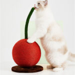 Big Orange Cherry Cat Climbing Pet Fruit Toy - Image 3