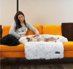 Pet Cushion Rest Cushion Sofa - Image 2