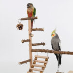 Sichuan Pepper Parrot Climbing Training Platform - Image 5