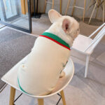 Bichon Schnauzer Cat And Dog Winter Pet Coat - Image 7