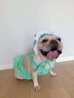 Creative Plaid Dog Dress Set - Image 5