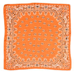 Women's Paisley 70cm Professional Scarf - Image 10