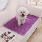Urinal Pad For Pet Washable Dog Diapers Non-slip Absorbent Easy To Dry - Image 5