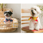 Dog Bib Scarf Pet Cat Bib Cute Small And Medium-sized - Image 3