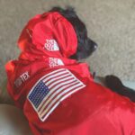 Windproof And Rainproof Dog Large Dog Raincoat - Image 7