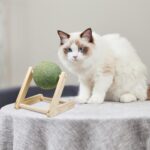 Catnip Balls Catnip Toys For Cats Cat Nip For Cats Safe Healthy Cat Nip Toys Giant Catnip Ball With Holder Cat Toys For Indoor Cats - Image 8