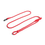 Pet Dog Fashion Minimalist Slant Leash - Image 3