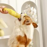 Dog Teething Plush Pet Teething Toys Palm-Shaped Squeaky Plush Chewing Toy Pet Supplies Bite Resistant Cute Plush Squeaky Dog To - Image 9
