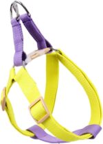 Dog Harness And Leash No Pull Nylon Pet Leashes For Small Dogs French Bulldog Chihuahua Lead Leash And Collar Set For Yorkies - Image 3