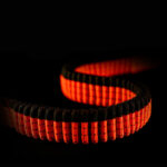 Leash on dog chest strap - Image 4