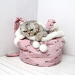 Pets Carrier Backpack Outdoor and Travel Use in Winter - Image 5