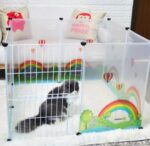 Pet transparent fence - Image 7
