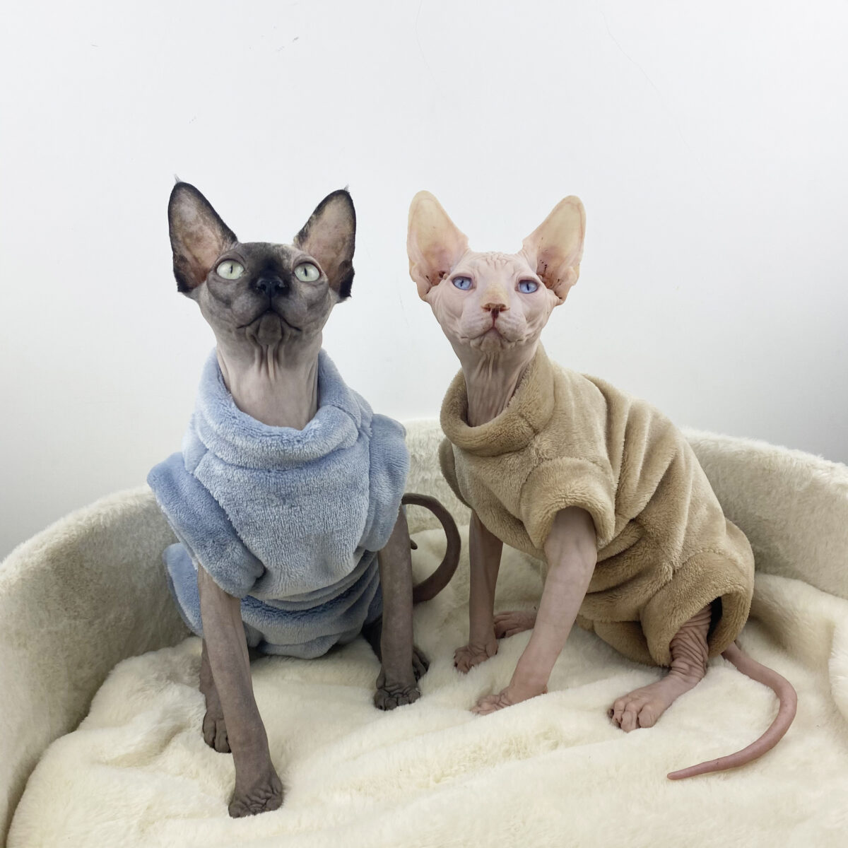 Sphinx Hairless Cat Flannel Thermal Four-legged Jacket - Image 4