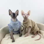 Sphinx Hairless Cat Flannel Thermal Four-legged Jacket - Image 4