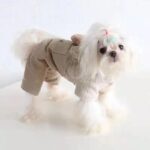 Pet Dog Fleece-lined Thick Style Milk Coffee Bear Four-legged Overalls - Image 5