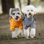 Chest And Back Raincoat Two Legs Waterproof Teddy Medium And Small Dog Raincoat Traction - Image 2