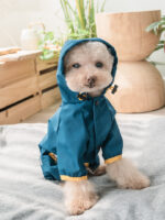 Teddy Schnauzer Bichon Poncho - Image 3