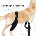 Pet Joint Protector Fracture Disability Fixed Knee Pad Leg Auxiliary Strap Dog Postoperative Protective Cover - Image 2